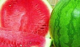 2024大瓜事件 吃瓜